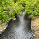 Davis Creek runs black with pollution.